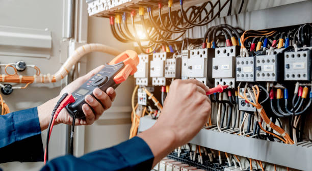 Best Ceiling Fan Installation Electrician  in Lacoochee, FL