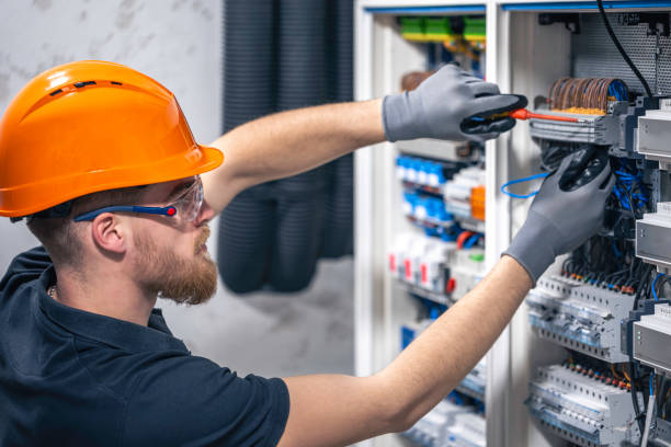 Best Electrical Troubleshooting Services  in Lacoochee, FL